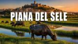 La Piana del Sele: cosa vedere tra Eboli e Battipaglia