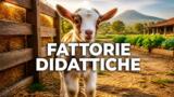 Le fattorie didattiche della Campania per bambini