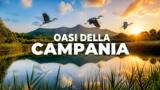 Le oasi e riserve naturalistiche della Campania