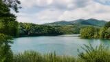 L’Oasi WWF del Lago di Conza: cosa fare e come arrivare
