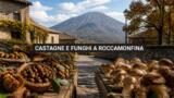 Maxi Sagra della Castagna e del Fungo a Roccamonfina 2026