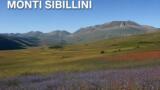 Melaverde oggi tra Norcia e Castelluccio: dove si trovano i Monti Sibillini