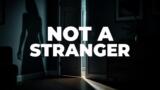 Not a Stranger, la serie turca su Netflix: trama e cast