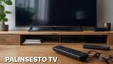 Programmi TV oggi domenica 13 settembre 2026: palinsesto completo