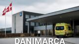 Regina Margherita di Danimarca ricoverata a Copenaghen dopo un malore: nuovo versamento all’anca