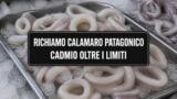 Richiamo calamaro patagonico per cadmio, i lotti a rischio