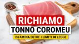 Richiamo per il tonno Coromeu, istamina oltre i limiti di legge
