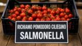 Richiamo pomodoro ciliegino G&V Ortaggi per Salmonella