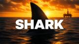 Shark Il primo squalo su Italia 1, la trama