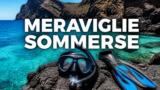 Snorkeling e immersioni in Campania: i punti migliori