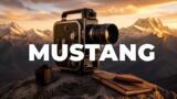 Sophie Taricone è la voce del film di Kasia Smutniak: «Mustang», le immagini girate con papà Pietro
