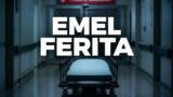 Tutto per la mia famiglia, Emel ferita nel daytime