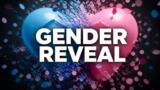Vanessa Spoto, gender reveal dopo Uomini e Donne