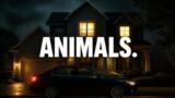 Animals, il film su Netflix: trama, cast e quando vederlo