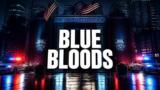 Blue Bloods, la serie su Rai 2: cast, trama e dove vederla