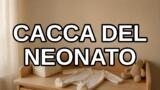 Cacca del neonato: colori, frequenza e cosa è normale