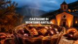 Castagne di Montano Antilia 2026, 32ª edizione