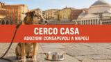 Cerco Casa a Napoli, in piazza San Domenico per le adozioni