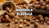 Come riconoscere la vera nocciola di Avella
