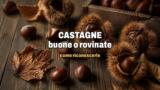Come riconoscere le castagne buone da quelle rovinate