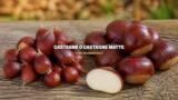 Come riconoscere le castagne buone dagli ippocastani tossici