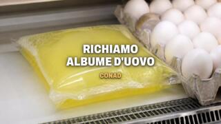 Conad richiama l’albume d’uovo per Salmonella, il lotto a rischio