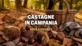 Dove raccogliere le castagne in Campania, luoghi e regole