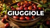 Giuggiole: cosa sono, proprietà e come si mangiano