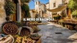 Il Nero di Bagnoli, tartufo e castagne nell’ultimo weekend