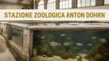 La Stazione Zoologica Anton Dohrn: il più antico acquario d’Italia e la ricerca marina a Napoli