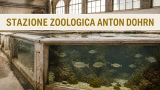 La Stazione Zoologica Anton Dohrn: il più antico acquario d’Italia e la ricerca marina a Napoli