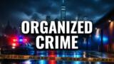 Law & Order: Organized Crime stasera su Sky Investigation: orario e trama