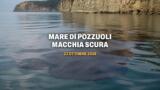 Macchia scura nel porto di Pozzuoli, allarme dei comitati