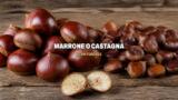 Marrone o castagna, le differenze tra i due frutti