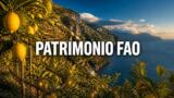 Nasce la Comunità GIAHS di Amalfi: prima assemblea il 9 ottobre