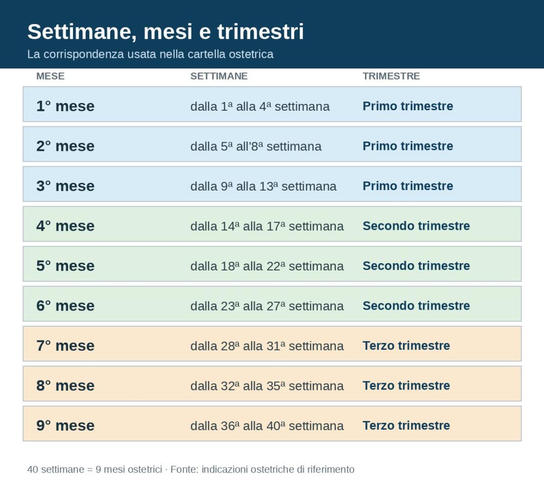 Tabella delle settimane di gravidanza con corrispondenza in mesi e trimestri