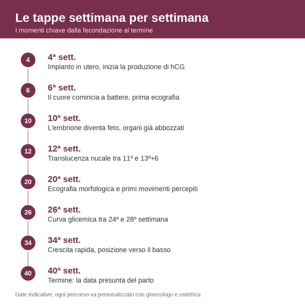 Tappe principali della gravidanza settimana per settimana