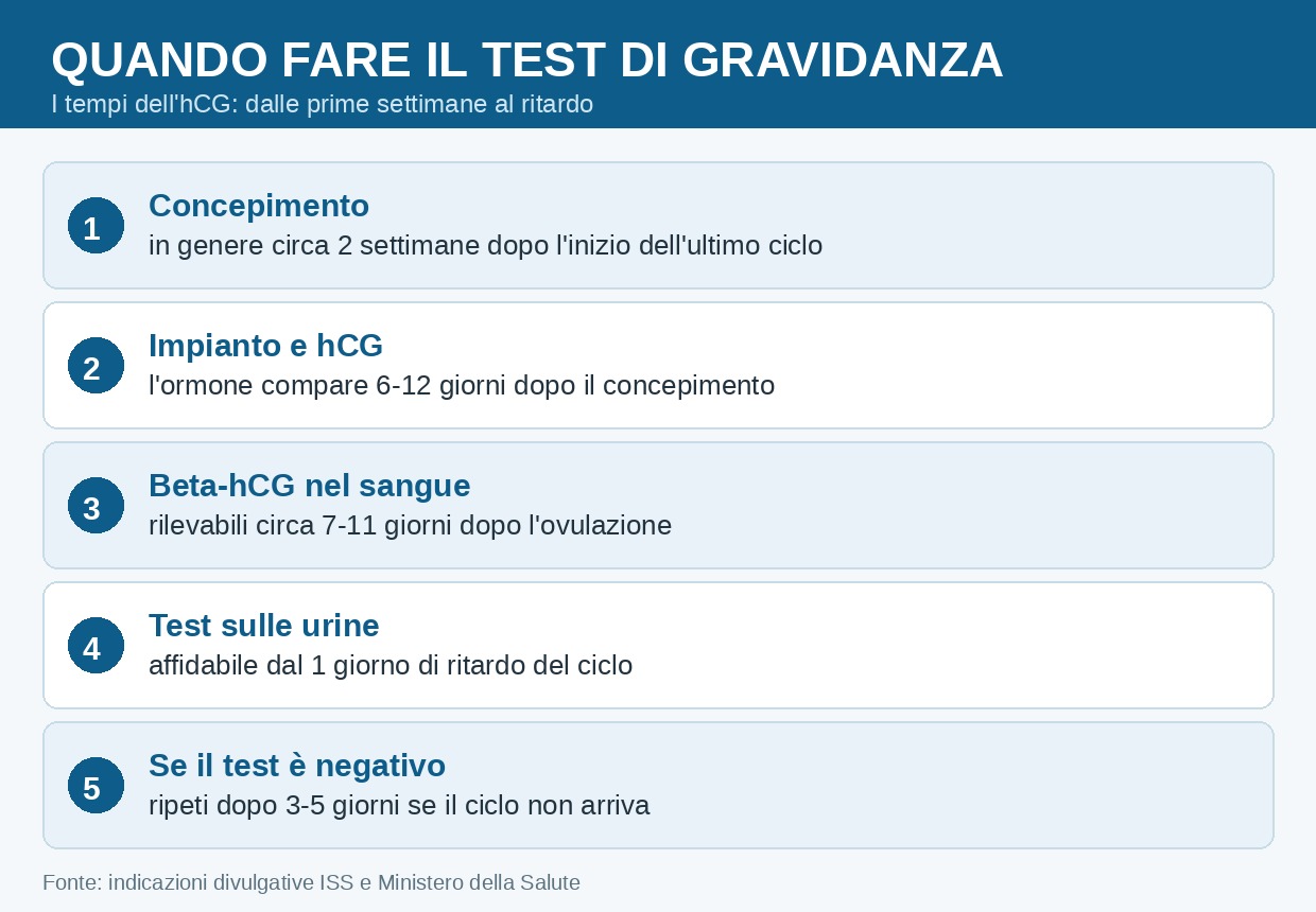 Quando fare il test di gravidanza: i tempi dell'hCG