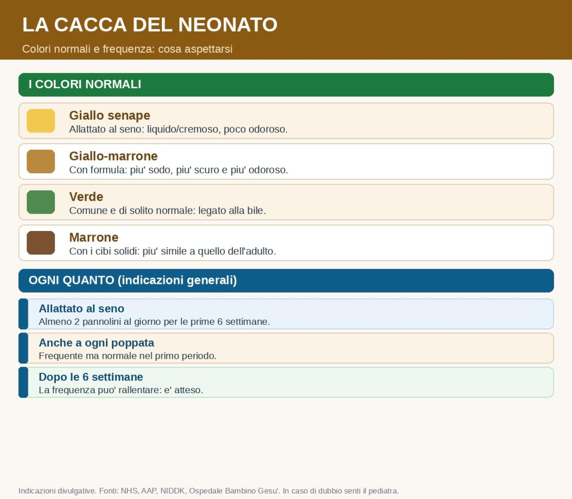 Cacca del neonato: i colori normali e la frequenza