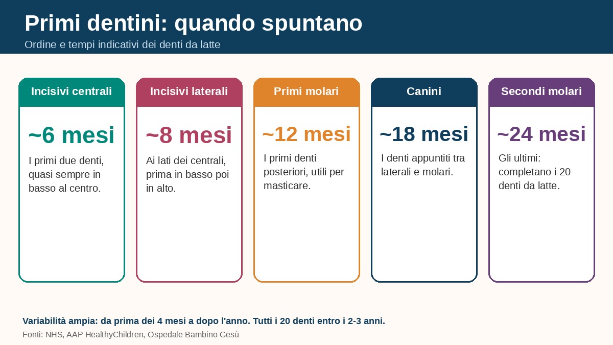 Primi dentini del neonato: quando spuntano, ordine e tempi dei denti da latte