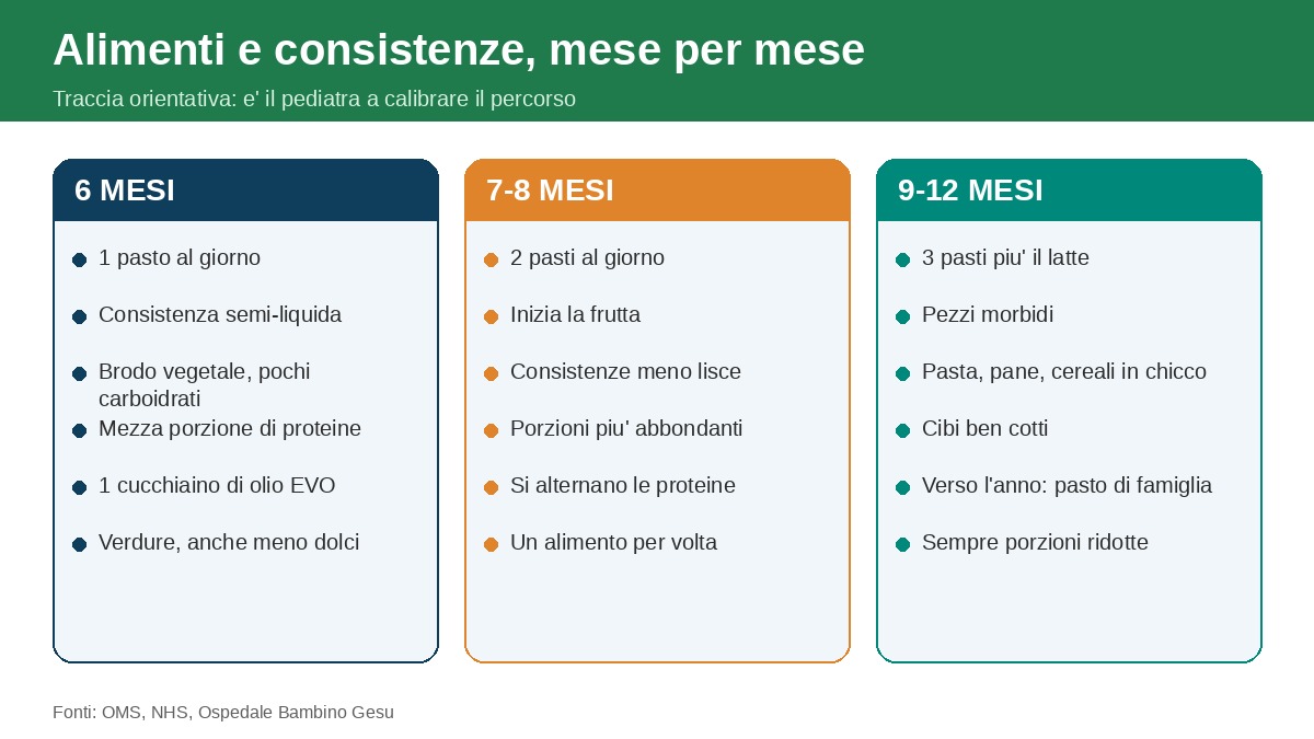 Alimenti e consistenze mese per mese: 6 mesi, 7-8 mesi e 9-12 mesi