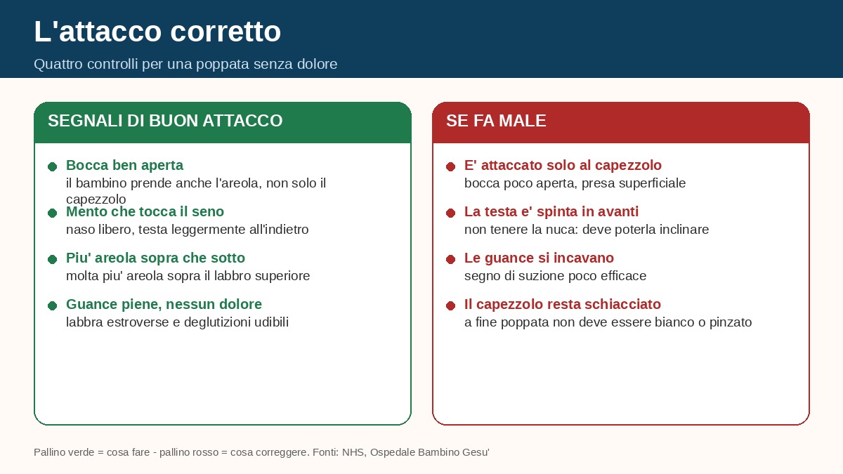 L'attacco corretto: quattro controlli per una poppata senza dolore
