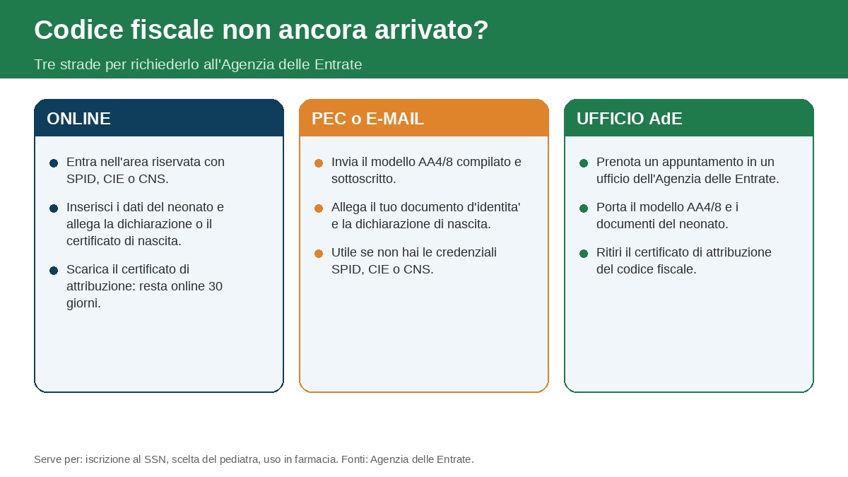 Codice fiscale del neonato non ancora arrivato: le tre strade per richiederlo all'Agenzia delle Entrate