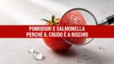 Perché i pomodori possono avere la Salmonella? Il motivo dello stop a Napoli
