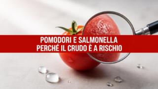 Perché i pomodori possono avere la Salmonella? Il motivo dello stop a Napoli