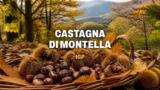 Perché la castagna di Montella è famosa, storia e caratteristiche
