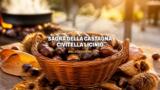 Sagra della Castagna di Civitella Licinio, 40ª edizione