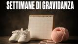Settimane di gravidanza: la tabella settimana per settimana