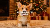 Un cucciolo per Natale, il film Netflix del 4 novembre: trama e cast
