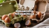 Uova biologiche richiamate per salmonella, i lotti interessati